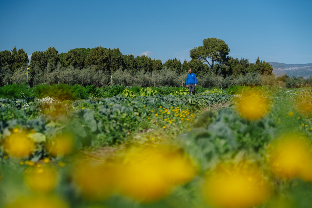 La plantación de flores entre los cultivos puede favorecer la capacidad del suelo de almacenar agua y CO2, así como aumentar la cantidad de materia orgánica y la biodiversidad asociada, como demuestran en VerdCamp Fruits. Fuente: Galdric Mossoll