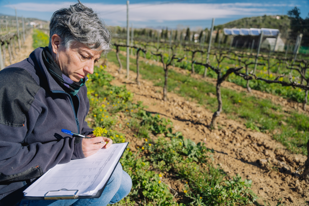 Eva Bertran es la máxima reponsable del proyecto RegeneraCat en la finca de Familia Torres. Fuente: Galdric Mossoll