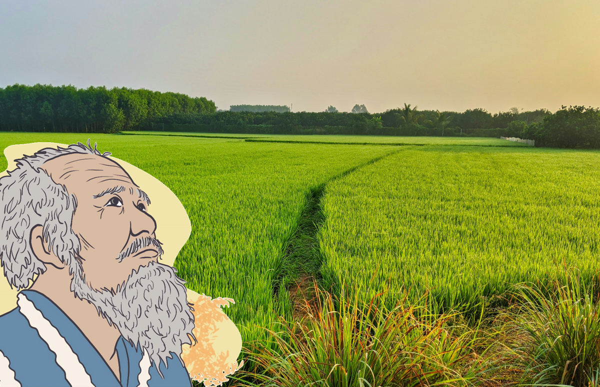 Masanobu Fukuoka, biòleg, agricultor i filòsof japonès, és un referent per al model d'agricultura regenerativa. Font: Imatge de Unsplash i il·lustració de Panchulei