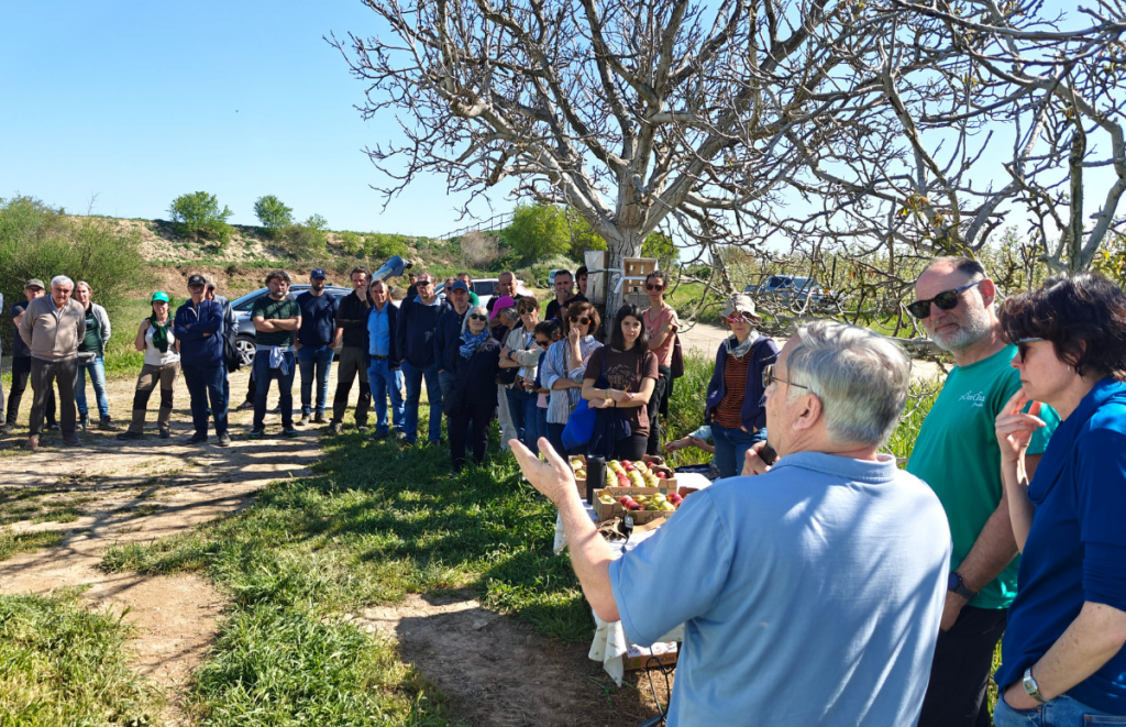 El matí de portes obertes a la finca de Pomona Fruits ha encetat el cicle de trobades amb públic per poder explicar el model agrícola regeneratiu i les tècniques que aplica als diferents cultius. Font: Gerard Gaya