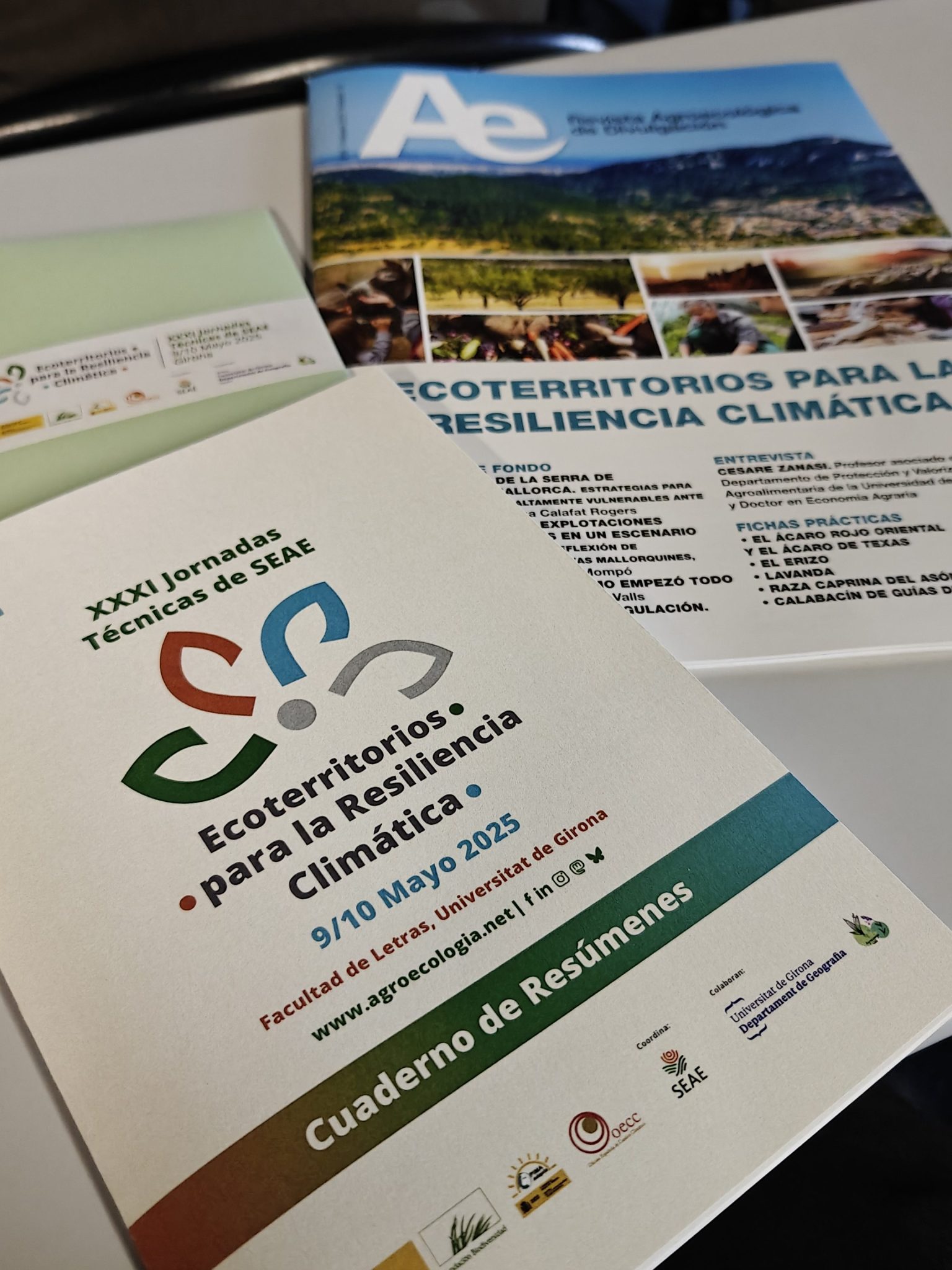 Material divulgativo proporcionado por la organización de las XXXI Jornadas técnicas de la SEAE. Fuente: Gerard Gaya