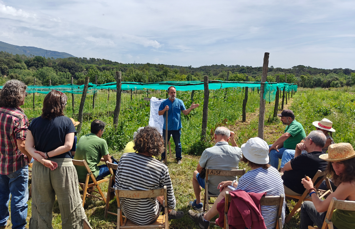 Una vintena de persones s'han desplaçat fins a Planeses (Sant Ferrriol, Girona) per a aprendre sobre el seu sistema d'horta regenerativa intensiva