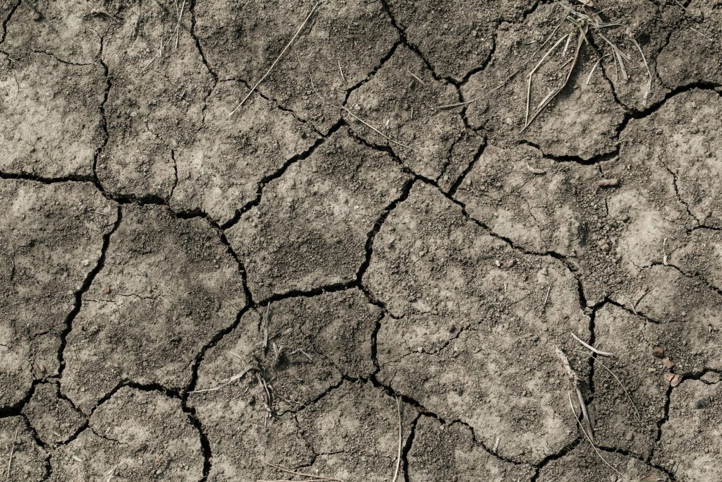Sòl extremadament sec i esquerdat per la falta persistent d'aigua. Font: Maud Correa (Unsplash)