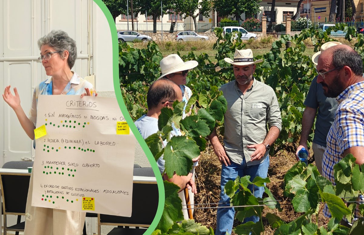 A l'esquerra, Ana Digón, presidenta de l'Associació d'Agricultura Regenerativa Ibèrica. A la dreta, viticultors regeneratius parlant sobre les tècniques que s'apliquen a les vinyes de Josep Marrugat a La Granada. Font: Gerard Gaya
